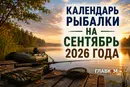 Календарь рыбака на сентябрь 2026 года: когда и на что лучше всего клюет