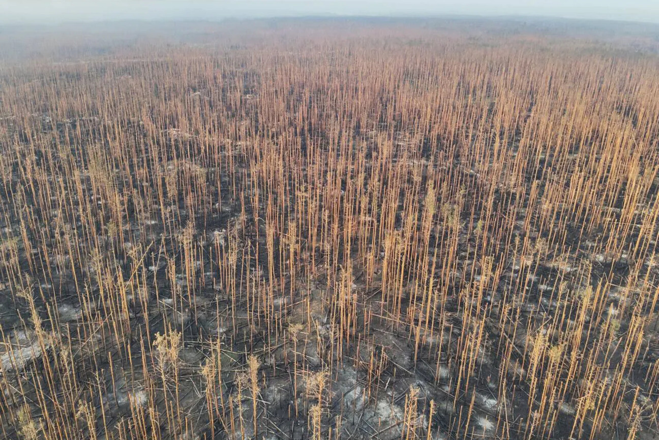 Фото Рібейро 1