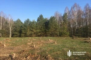 За оцінкою експертів, незаконна рубка завдала державі збитків більше ніж 1,1 млн грн