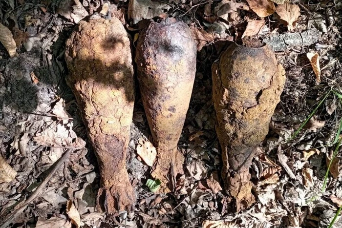 На Київщині грибник знайшов мінометні міни часів Другої світової