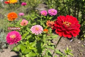 В Україні мінлива хмарність, місцями дощитиме: погода на 4 вересня