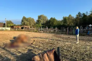 На місці події вже працюють правоохоронці