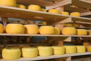 Через здорожчання вітчизняних сирів українці масово переходять на сирний продукт