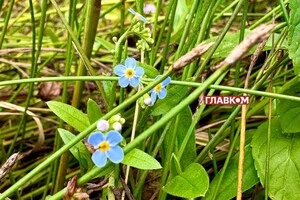 В Україні хмарно з проясненнями: прогноз погоди на 9 вересня