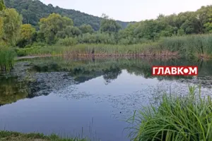 Прогноз погоди на тиждень 8-14 вересня 2025 року