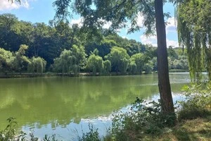 Обробка від кліщів проводитиметься на трьої локаціях