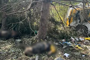 Поліцейські показали перші хвилини після удару по Яровій (відео)