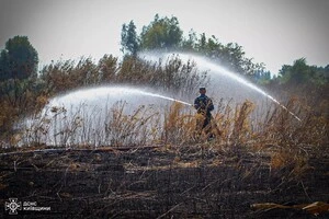 Причини виникнення загоряння встановлять правоохоронці