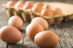 Французи скаржаться на яйця, імпортовані з України