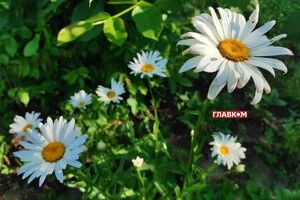 В Україні мінлива хмарність: прогноз погоди на 12 вересня