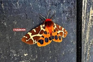 В Україні мінлива хмарність: прогноз погоди на 13 вересня