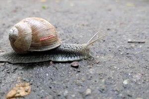 В Україні мінлива хмарність, місцями дощитиме: прогноз погоди на 14 вересня