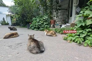 В Україні мінлива хмарність: прогноз погоди на 15 вересня