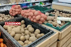 Картопля в Україні подорожчає: що відомо про польський імпорт і строки зростання цін