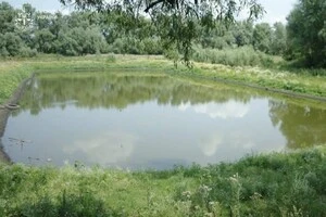 Чоловік самовільно облаштував ставок на земельній ділянці, призначеній для ведення особистого селянського господарства