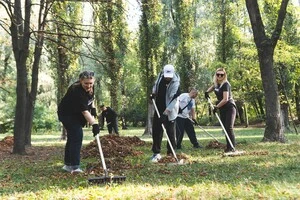 У Києві стартував осінній місячник з благоустрою та озеленення