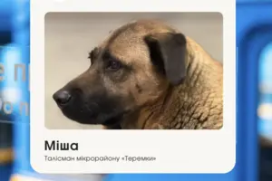 Господаркою собаки є літня жінка, яка торгує квітами неподалік станції «Теремки»