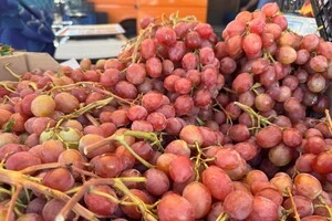 Фермерські продукти можна буде придбати у всіх районах міста