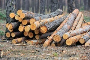 Швеція та Фінляндія просять ЄС дозволити вирубувати більше дерев