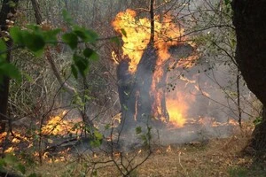 На Запоріжжі унаслідок диверсії ліквідовано майже два десятки російських офіцерів