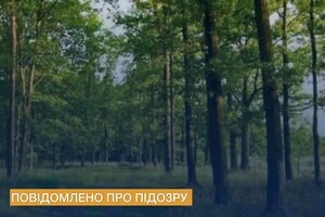 Вирубування дерев на Київщині: у недбалості підозрюється інженер держпідприємства «Ліси України»