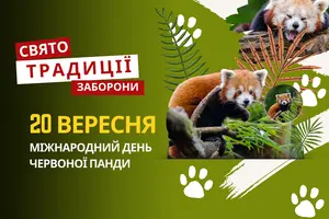 20 вересня: яке сьогодні свято, традиції та заборони