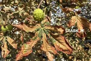 В Україні мінлива хмарність: погода на 20 вересня 2025