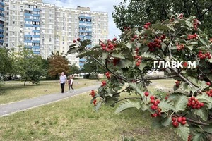 В Україні хмарно та без опадів: погода на 21 вересня 2025