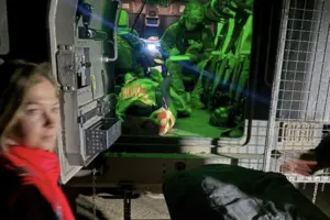 На Харківщині волонтерка підірвалася на вибухівці