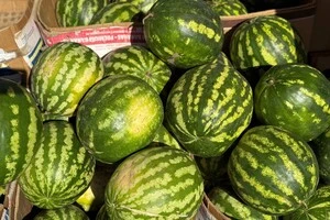 Фермерські продукти можна буде придбати у всіх районах міста 