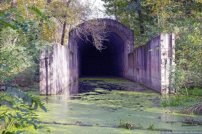 Прокуратура вимагає від Київради визначити межі заказника «Острів Жуків»