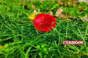 В Україні мінлива хмарність: прогноз погоди на 24 вересня