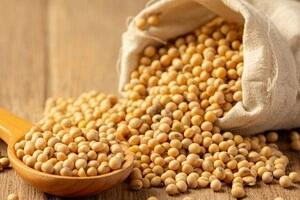 Аргентина тимчасово скасувала експортні мита на сою та зернові