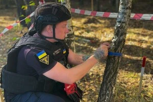 На Київщині знайдено бойову гранату, яка була встановлена на розтяжці на дереві