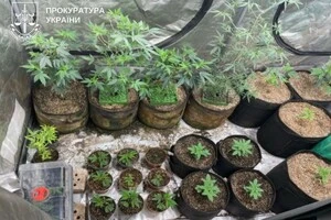 Правоохоронці встановили, що свій «агробізнес» підозрювані облаштували в орендованому гаражі