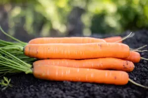 В Україні різко подорожчав овоч із борщового набору