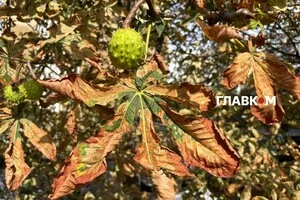 В Україні хмарно з проясненнями: прогноз погоди на 28 вересня