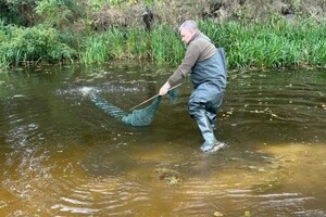 Іхтіологічні дослідження виконувалися у акваторіях річок Уж та Прип’ять, а також у осушувальних каналах, які до них прилягають