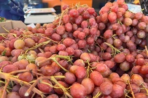 Організатори закликають відвідувачів дбати про власну безпеку та слідувати в укриття під час оголошення повітряної тривоги