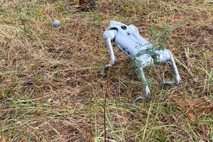 Робопес допоміг шукати елементи касетних боєприпасів після обстрілу Київщини (відео)