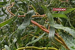 Прогноз погоди на 30 вересня