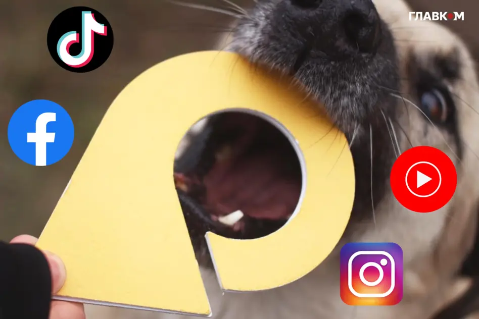 Блогери, рятуйте! Для чого «Укрпошта» тратить мільйони на... ТікТок