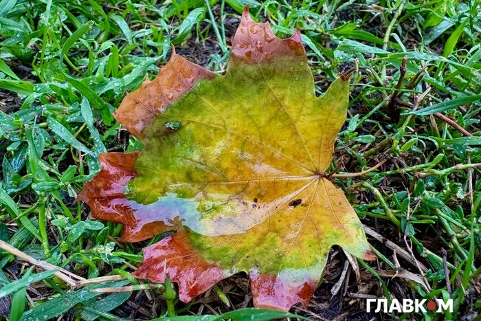 В Україні очікуються дощі та сильний вітер: погода на 1 жовтня 2025