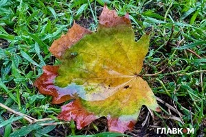 В Україні очікуються дощі та сильний вітер: погода на 1 жовтня 2025