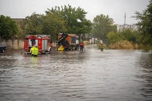 Президент очікує на детальну доповідь щодо результатів перевірки вже цієї п’ятниці