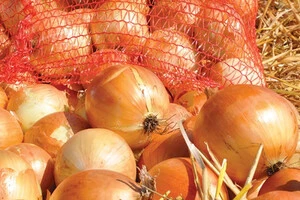 В Україні різко здешевшав популярний овоч 