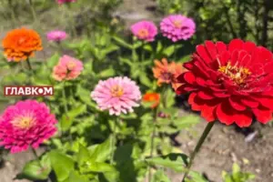 Українців чекає коротке потепління на вихідних