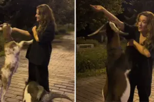 Наталія Могилевська погодувала тварин з рук