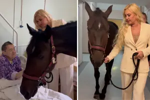 Камалія несподівано привела коня в лікарню та потішила пацієнтів (відео)