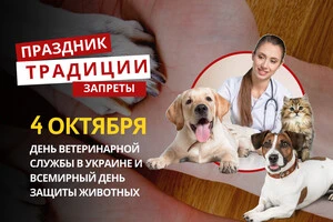 4 октября: какой сегодня праздник, традиции и запреты